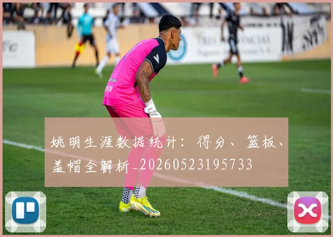 姚明生涯数据统计:得分、篮板、盖帽全解析_20260523195733